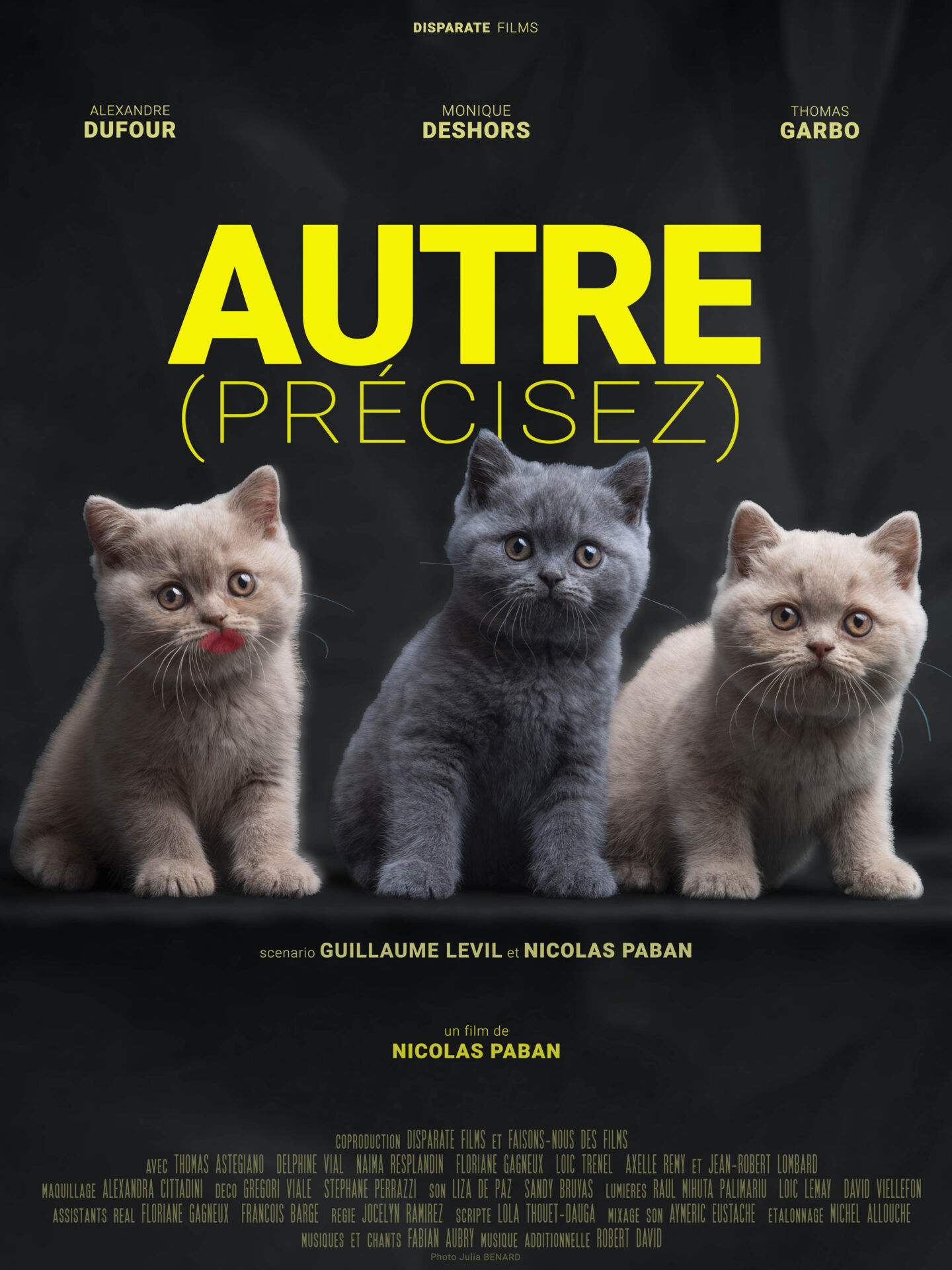 Autre (Précisez) - Festival de Bretagne 2026